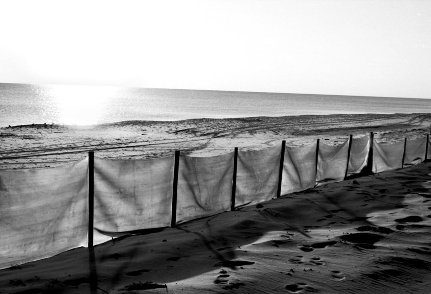 Peter Welch: Construction Fence & Ocean