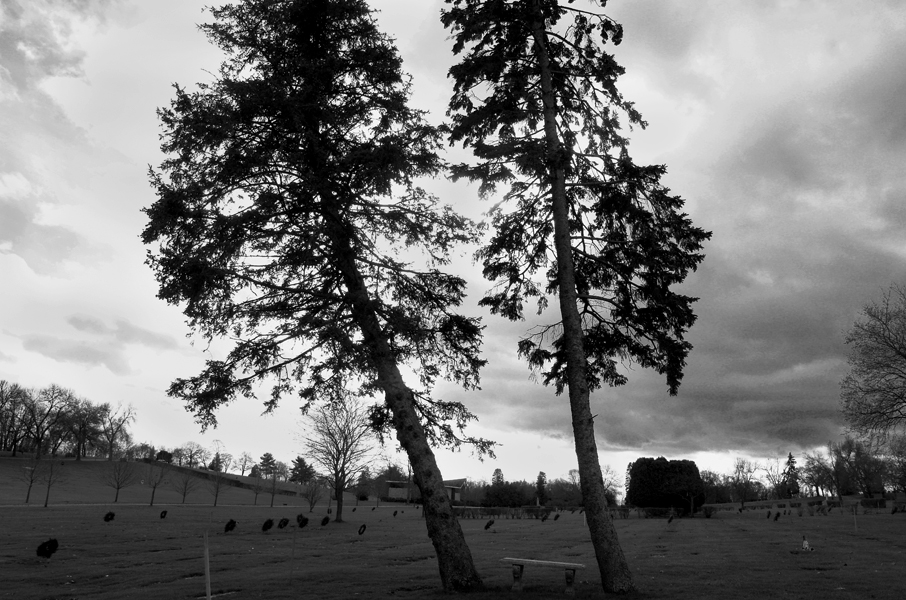 Peter Welch, Two Trees & Cemetery