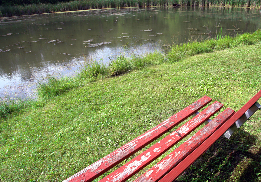 Peter Welch, Red Bench