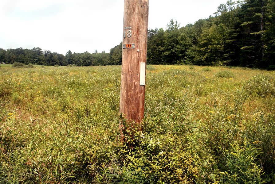 Peter Welch: Telephone Pole & Summer Field
