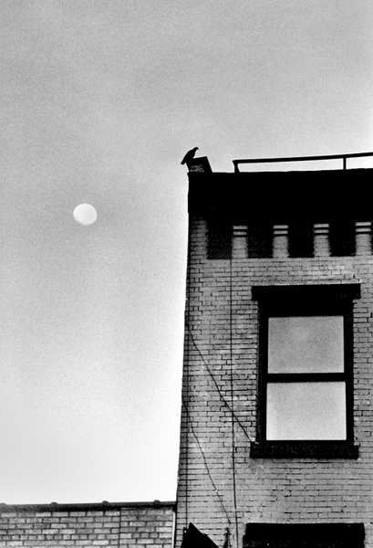 Peter Welch: Window & Moon